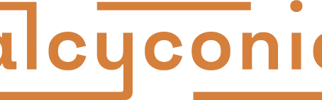 Alcyconie - Gestion de crise cyber
