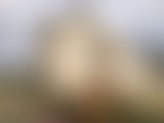 Loire-Tour: Ulm - Atlantik