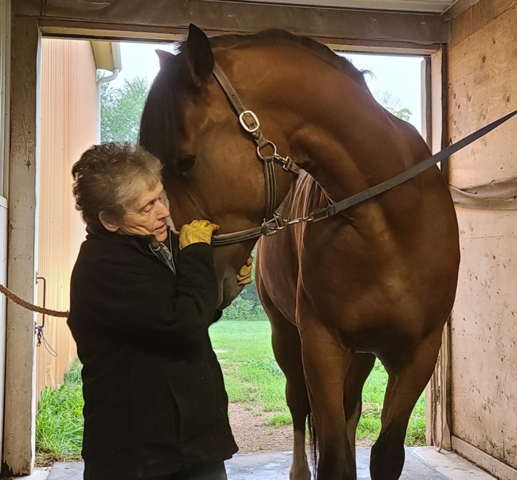 Barb Bowen with Teddy at Orchard Park Stables
