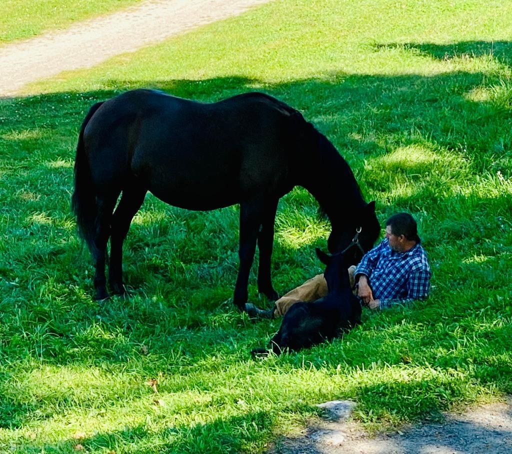 Riding at Orchard Park Stables