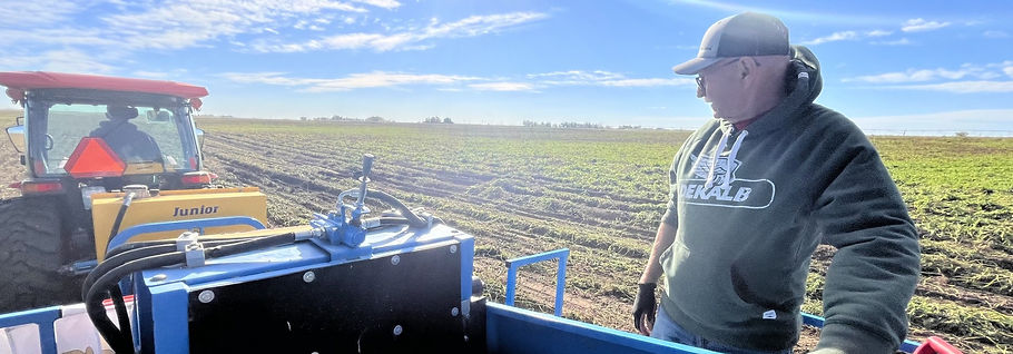 out digging_edited.jpg