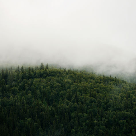 Greenwashing