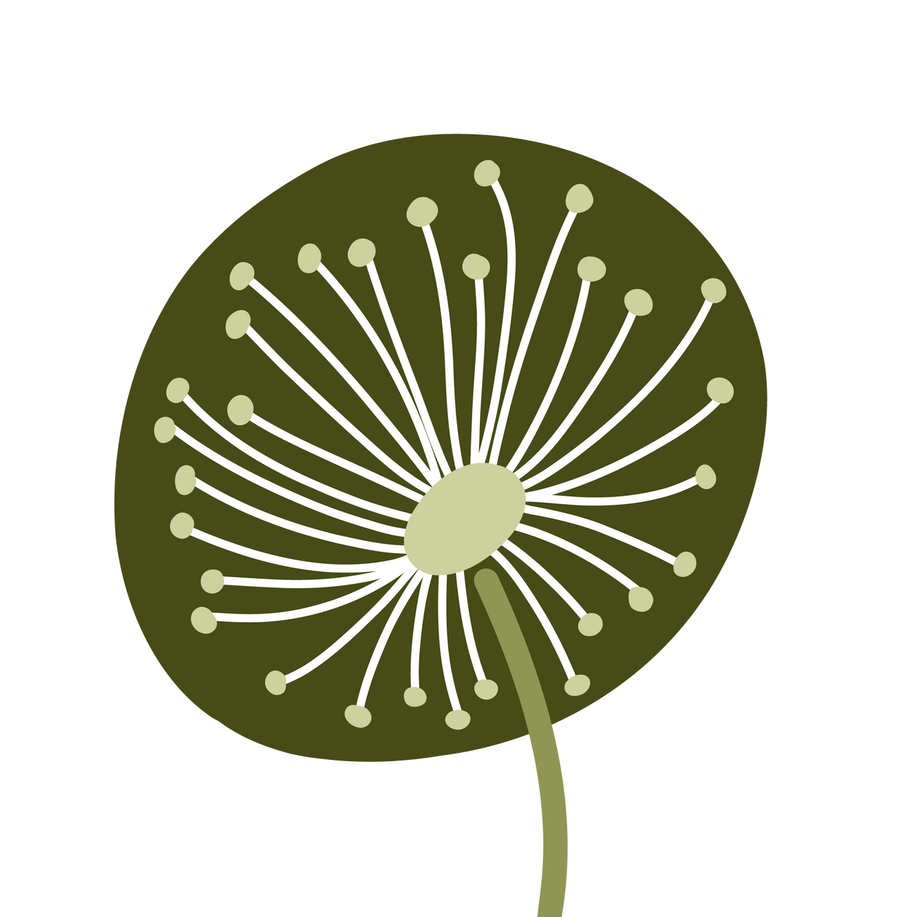 Eco Cleaning Handbook Friendly Living