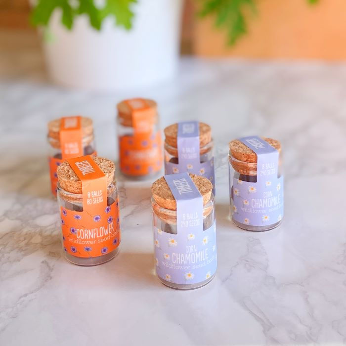 Six little glass jars containing wildflower seeds arranged on a marble counter