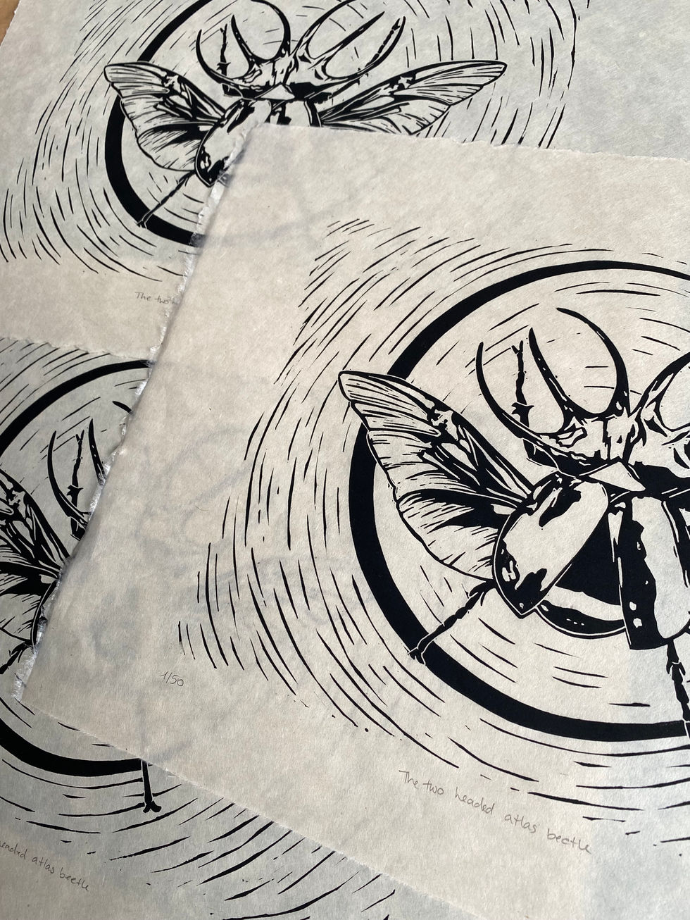 black linocut print of a two headed bug