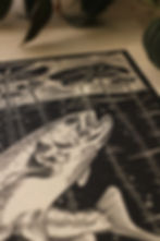 Thumbnail: Fish in the pond