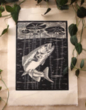 Fish in the pond
