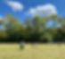 IMG_2415.jpeg