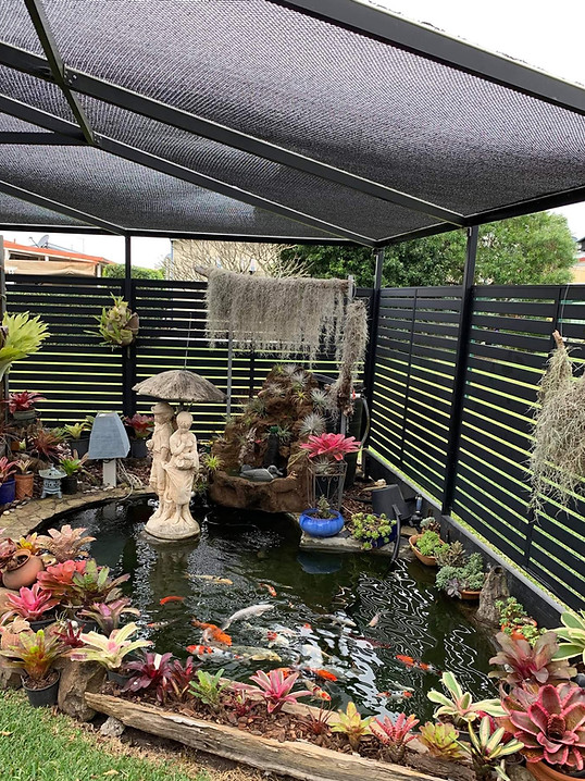 mums pond.jpeg