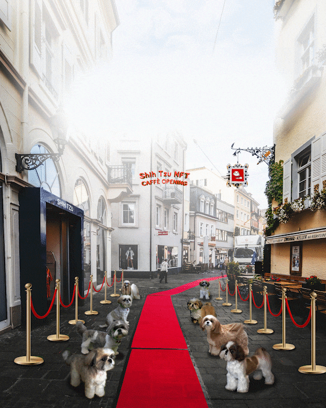 red carpet (1).gif
