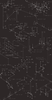 PP Website Background (2) (1).png