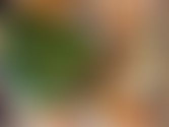 Ramping Up With Friends - Ramp Crostini With Blue Cheese and Apples