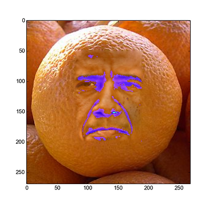 Oba_in_orange.png