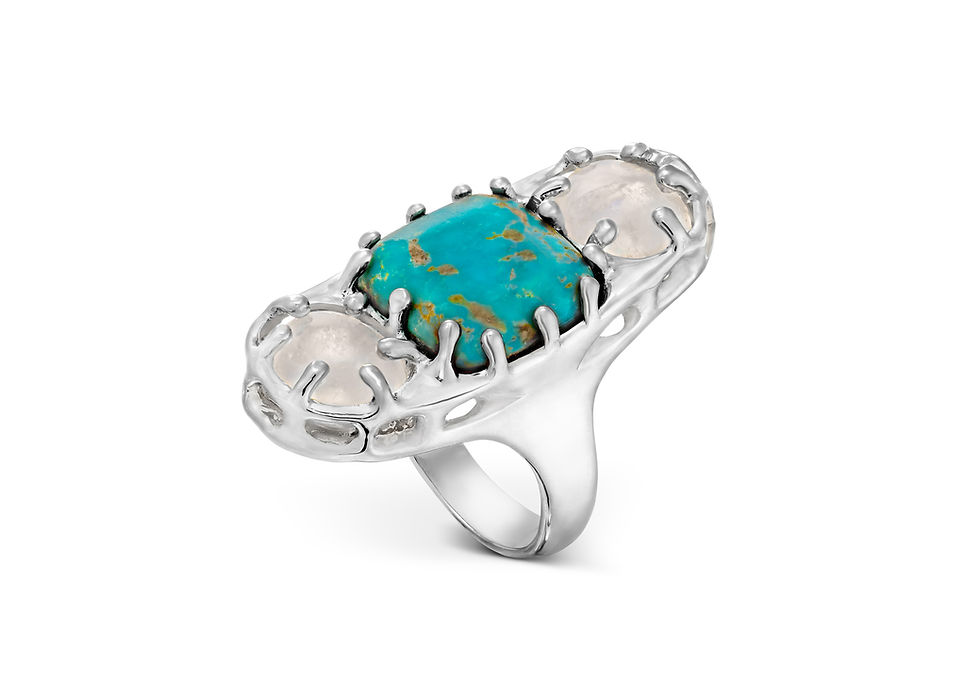 Thumbnail: The Dahna Ring