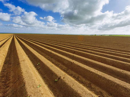 Understanding Soil Health: The Key to Long-Term Farming Success