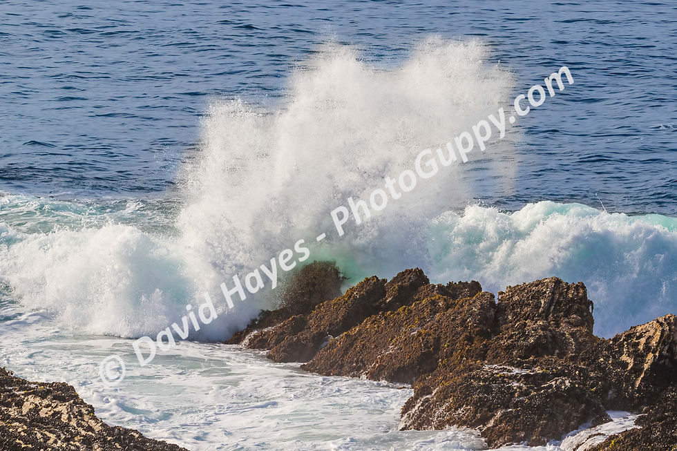 Wave crashing on rock near the coast of Morro Bay, California