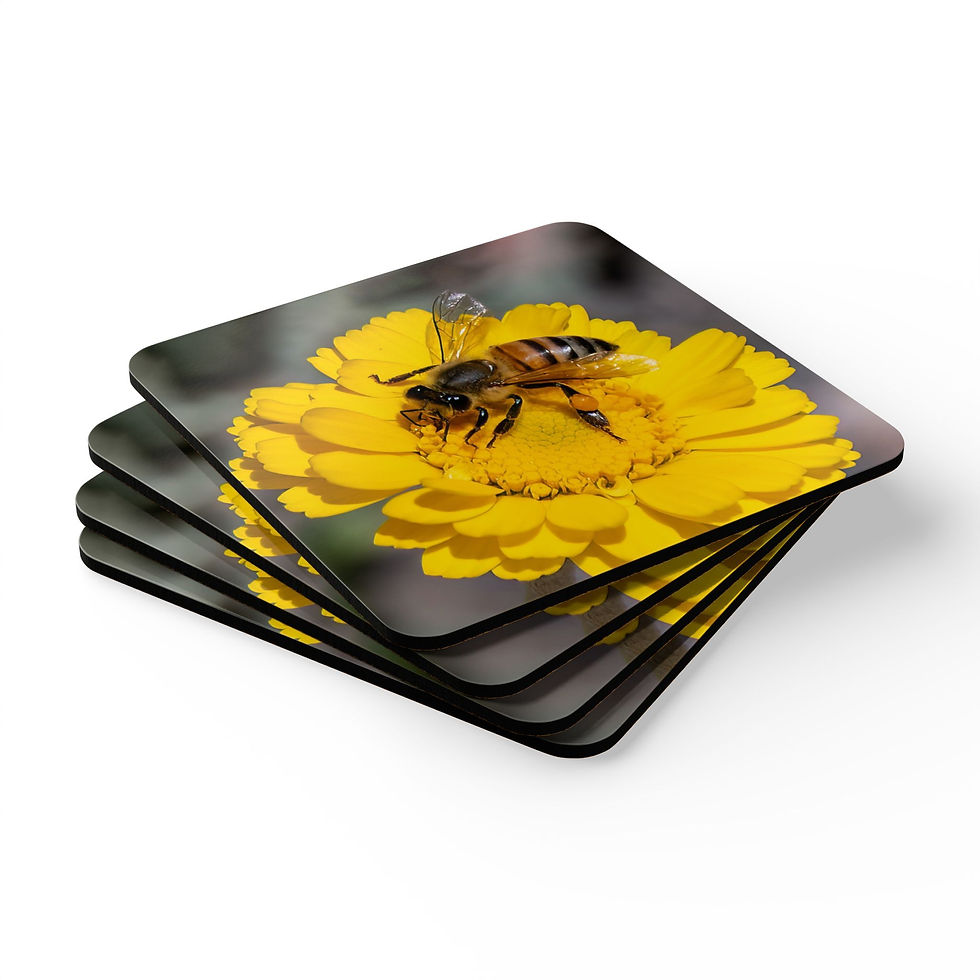 Thumbnail: Custom photo drink coaster set with image of a Honeybee on yellow flower in Arizona's Sonoran Desert.