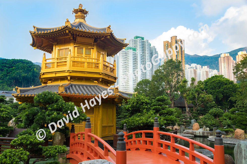 Golden pagoda and orange wooden bridge, Nan Lian Garden, Hong Kong.
