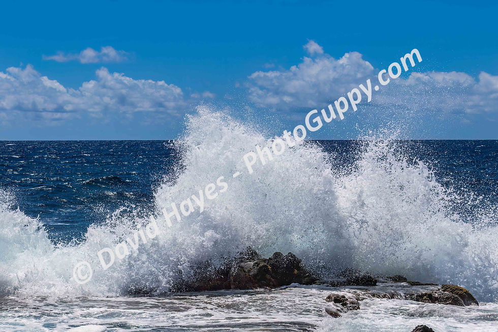 Wave breaking on volcanic rock, Hilo coast, Big Island of Hawaii.