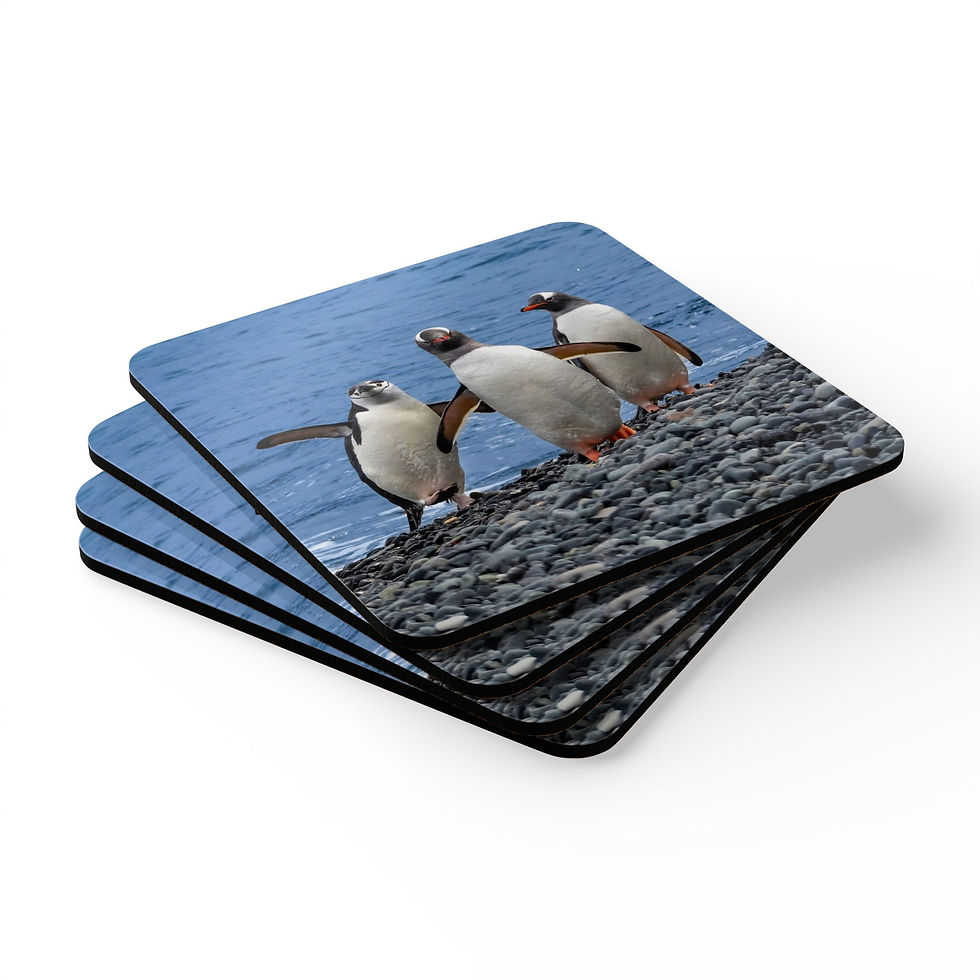 Thumbnail: Custom photo drink coaster set with image of three penguins playing on the rocky shore of Antarctica.