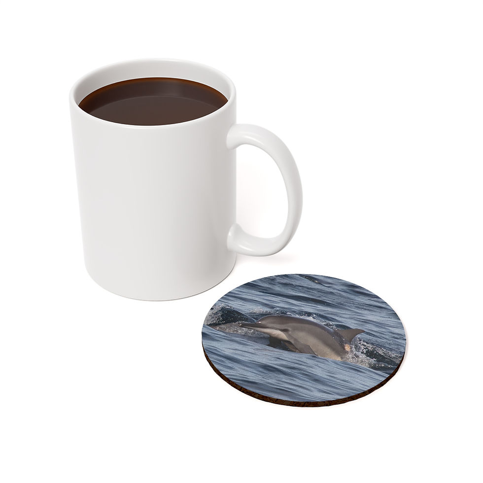 Thumbnail: Custom single photo drink coaster with image of a baby bottlenose dolphin and mother off the coast of northern Bali.