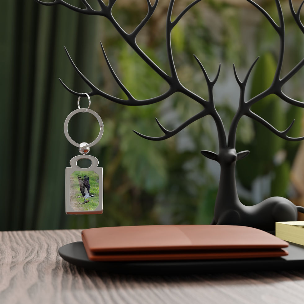 Thumbnail: Custom photo keychain featuring an osprey in flight, clutching a fish in its talons.