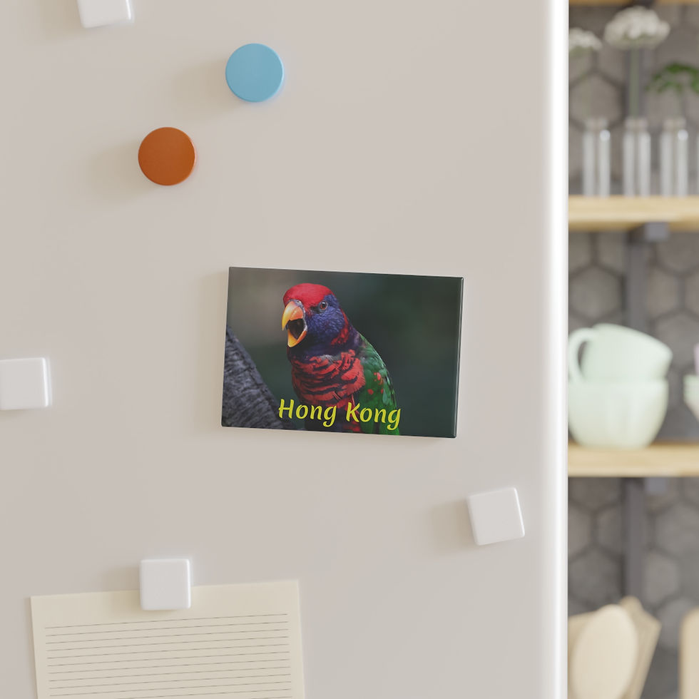Thumbnail: Hong Kong - Vibrant colorful Lorikeet Rectangular Magnet