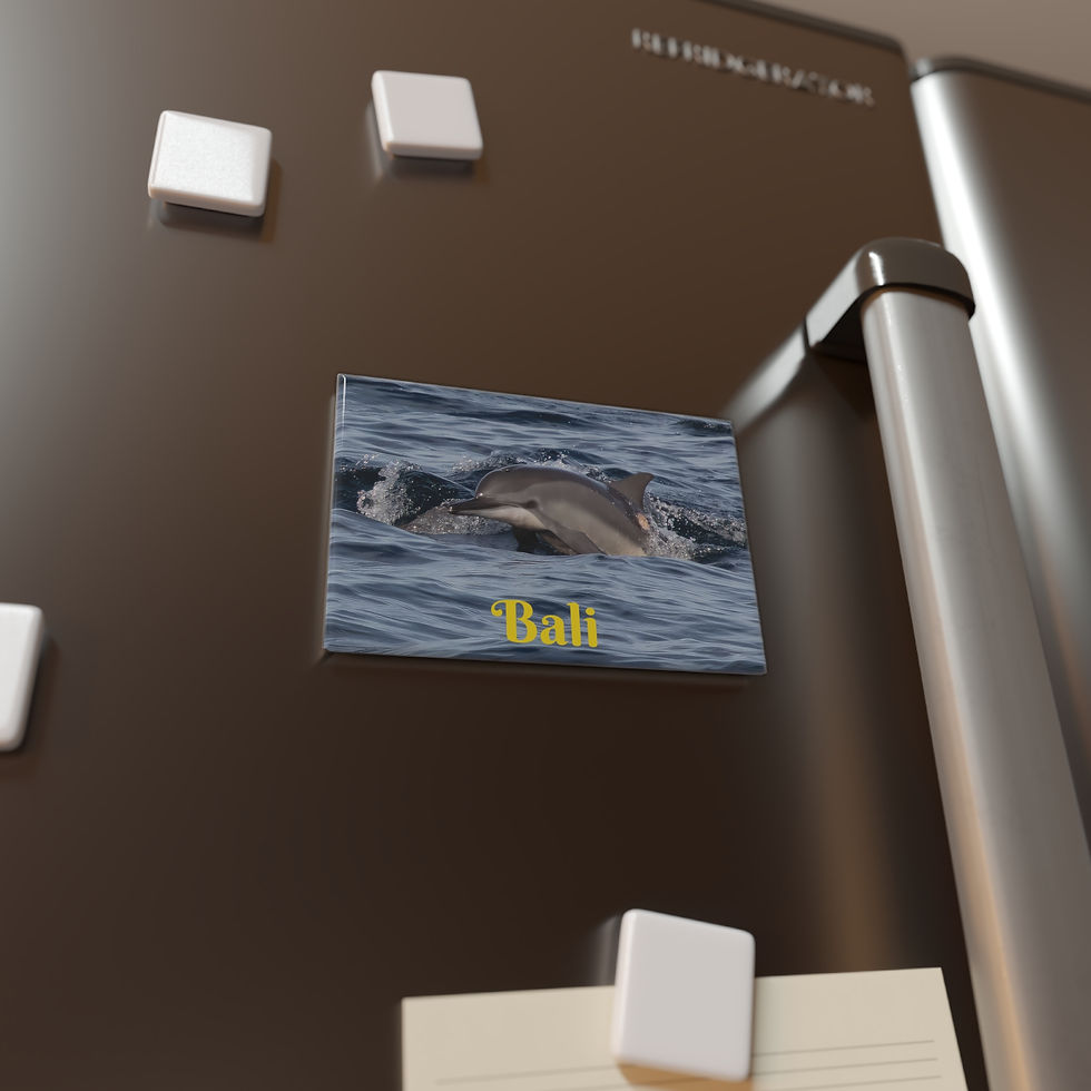 Thumbnail: Bali - Baby Dolphin Refrigerator Magnet