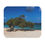 Thumbnail: Aruba - Fofoti Tree, Tropical Beach Mouse Pad