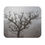 Thumbnail: Arizona - Grand Canyon Tree and Fog Mouse Pad