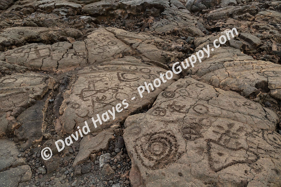Waikoloa Petroglyphs near Kona, on the Big Island of Hawaii.