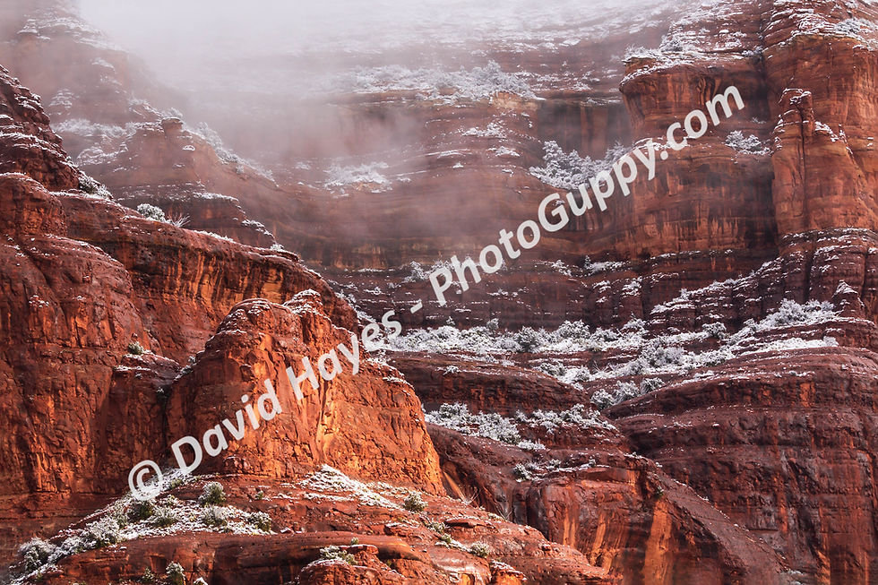 Red sandstone cliff and snow during a winter storm in Sedona, Arizona.