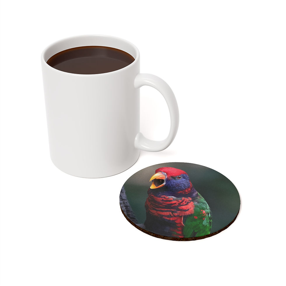 Thumbnail: Custom single photo drink coaster featuring a colorful rainbow lorikeet.