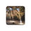 Thumbnail: Aruba - Quadiriki Cave and Sunbeams Cork-Backed Coaster (Single)