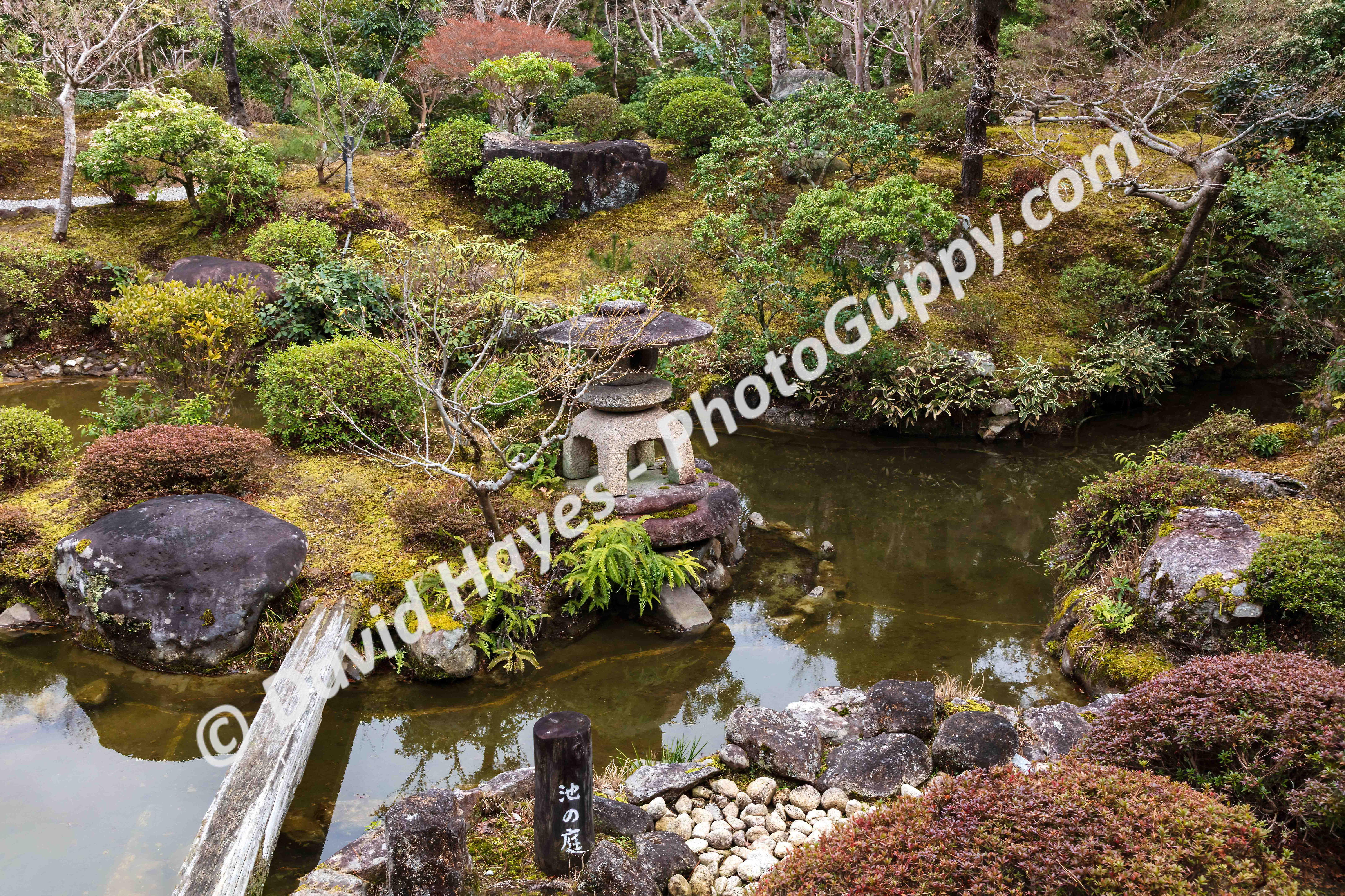 Traditional Japanese Garden
