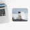 Thumbnail: Wildlife - Solitary Penguin Mouse Pad