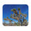 Thumbnail: California - Desert Joshua Tree Mouse Pad