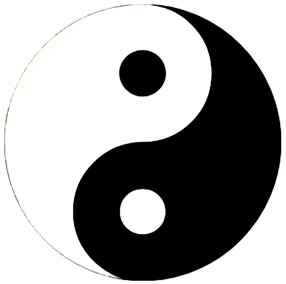yin yang _edited.jpg