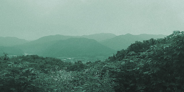 Bground Photo2.jpg