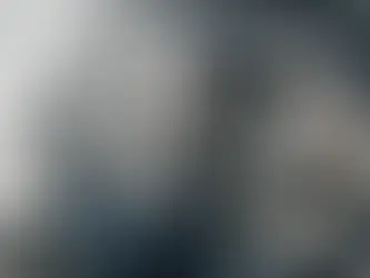 Audi | Volkswagen | Skoda: The Importance of Timing Belt Replacement in Geelong : GERMAN CONNECTION