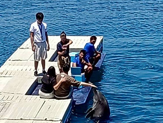 LINE_ALBUM_260403玩瘋了假期TG小白_260409_1.jpg