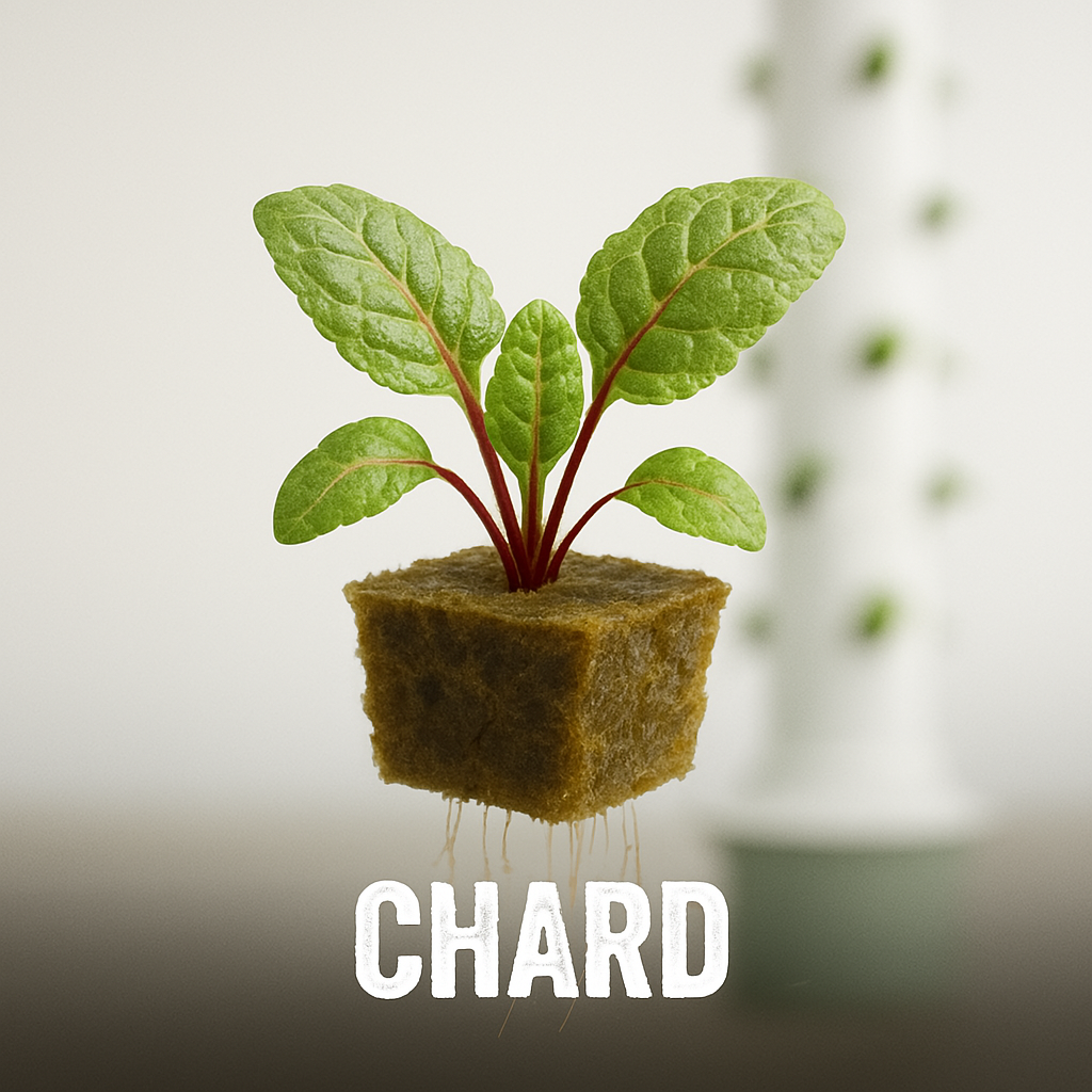 Swiss Chard Bright Lights Seeds