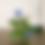 Thumbnail: Borage