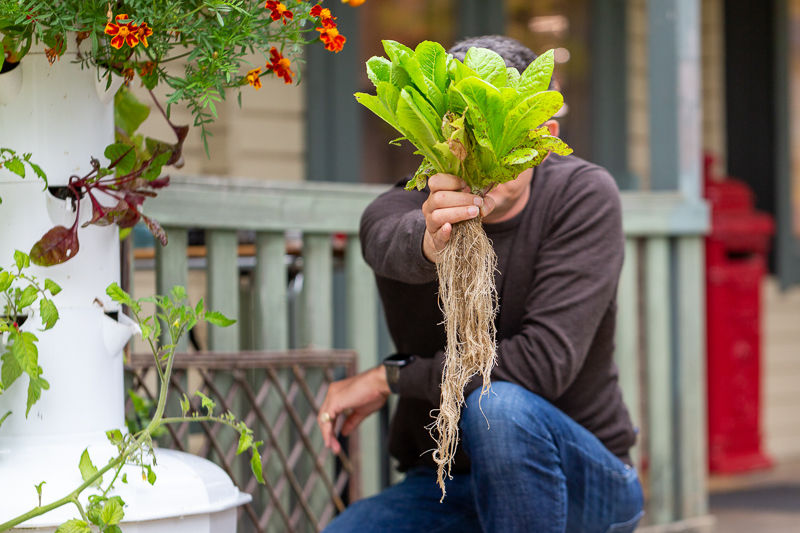 Miniature : Outdoor TowerGarden fruit & veg pack