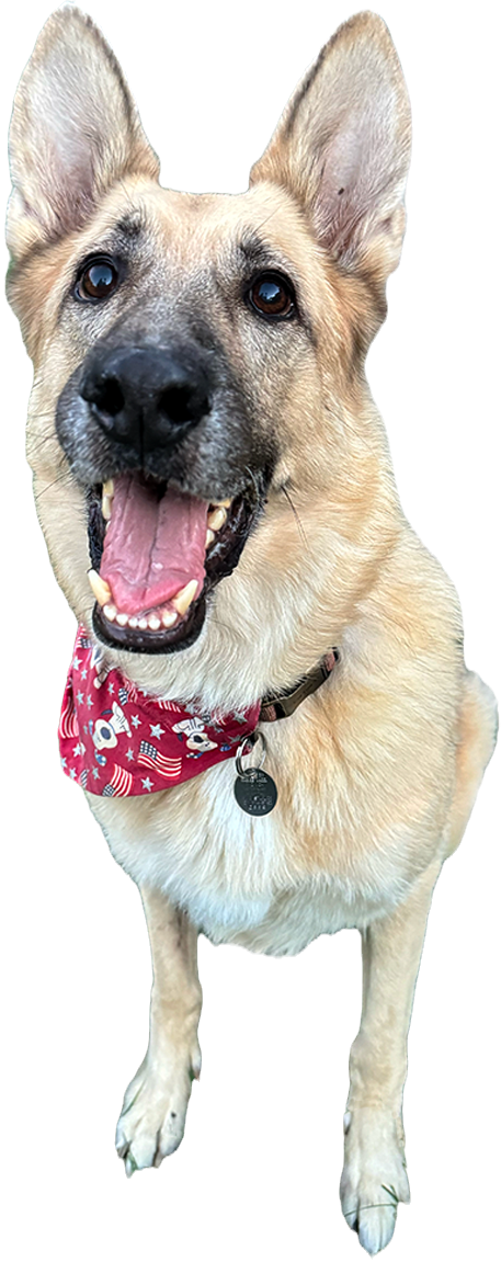 Balto.png