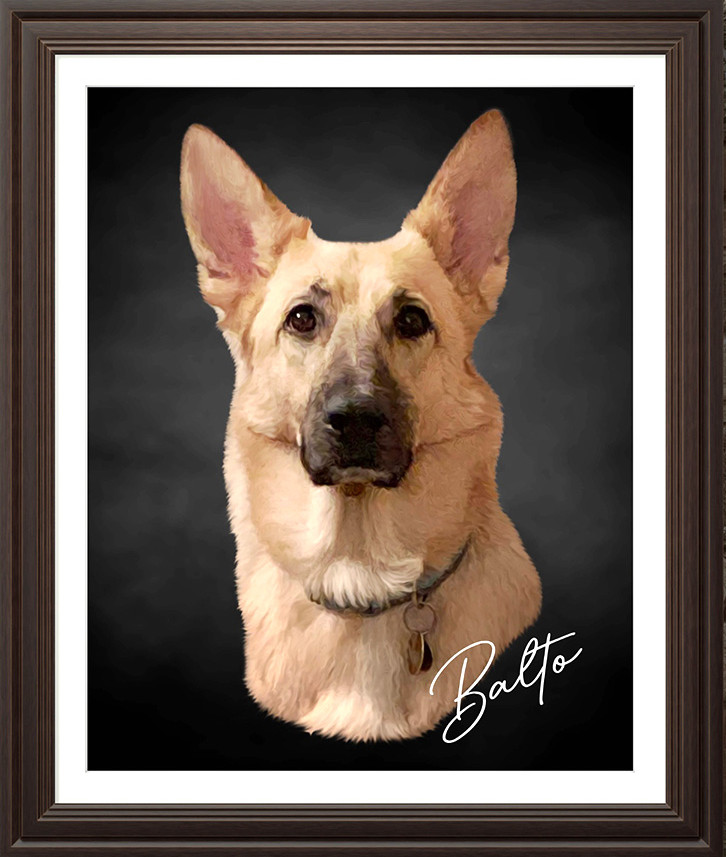 Balto Framed.jpg
