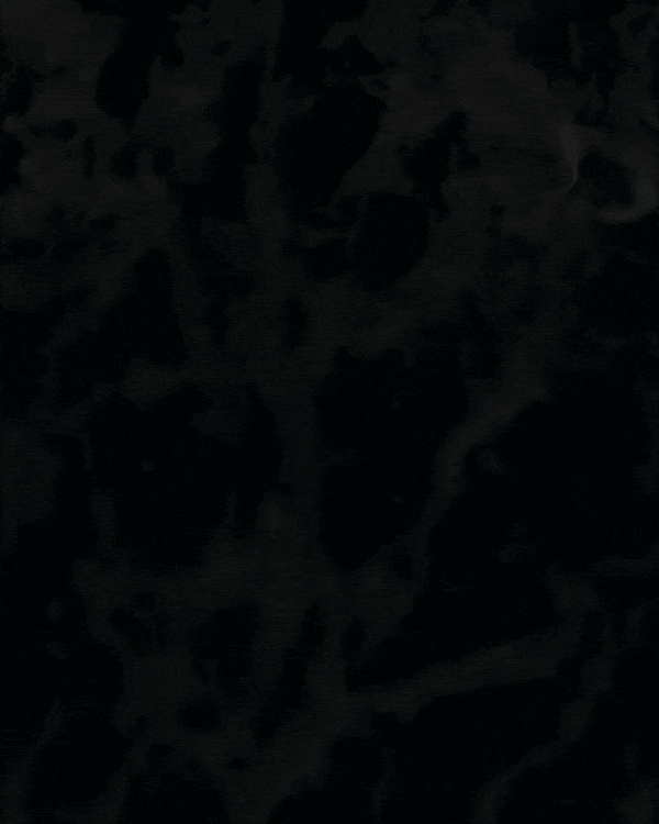 lowprofile_empressof_thewilds