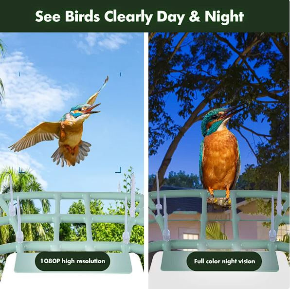 Miniatura: EcoSmart Solar Bird Feeder Cam