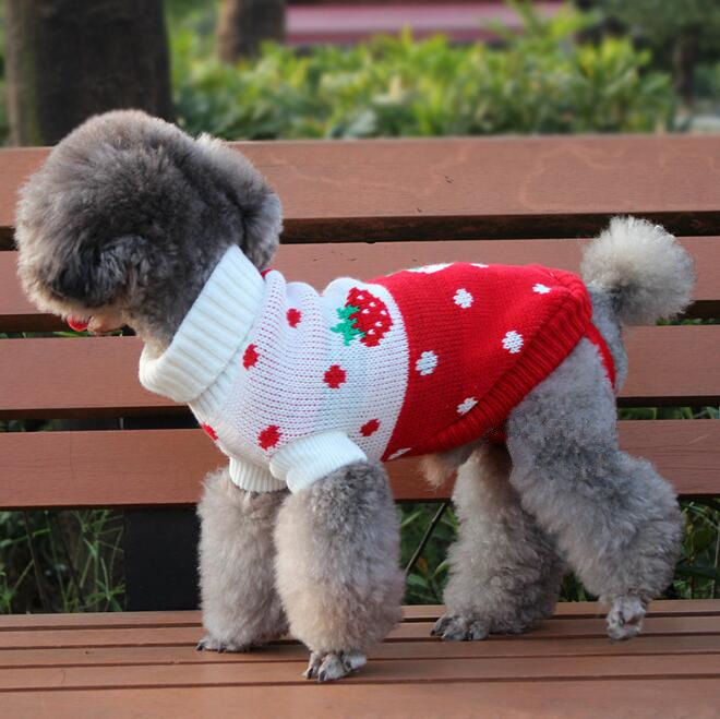 Thumbnail: Dog Sweater, Pet Clothing, Knitted Pet Outfit