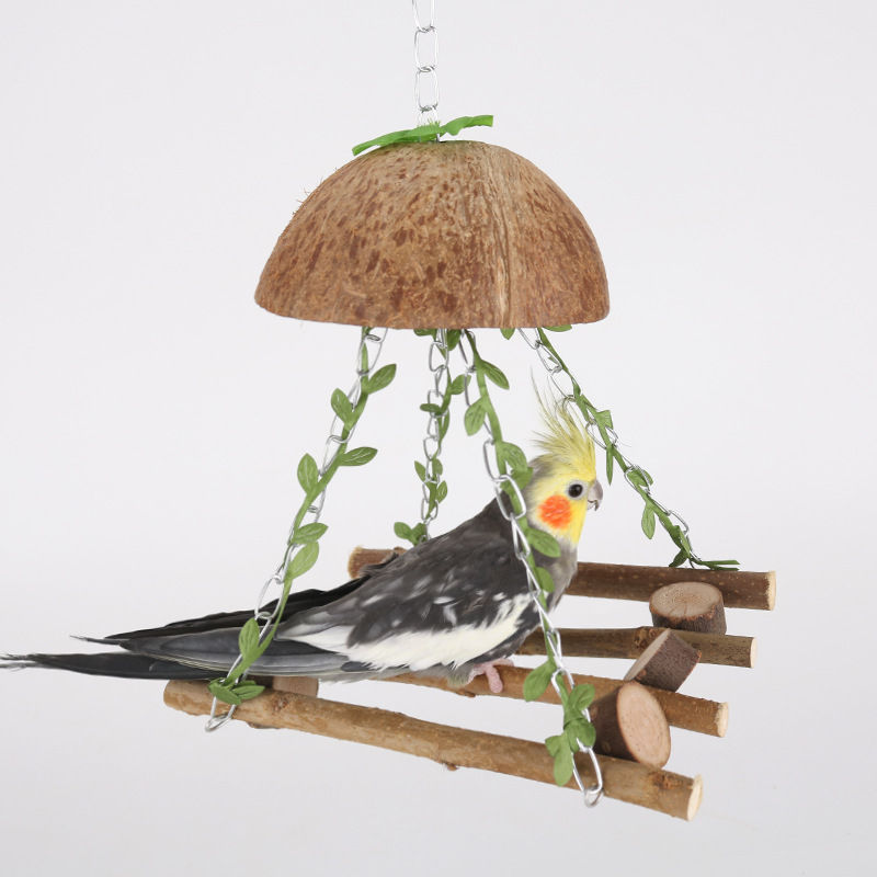 Miniatura: Tropical Bird Coconut Hammock